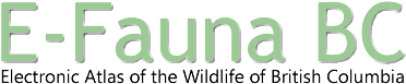 E-Fauna BC: Electronic Atlas of the Fauna of British Columbia