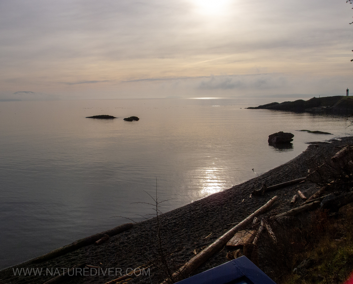 Gowlland Beach dive site