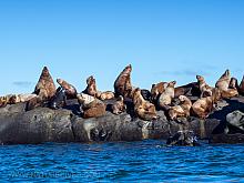 2020-12-02 Boating - Belle Chain Islets, BC